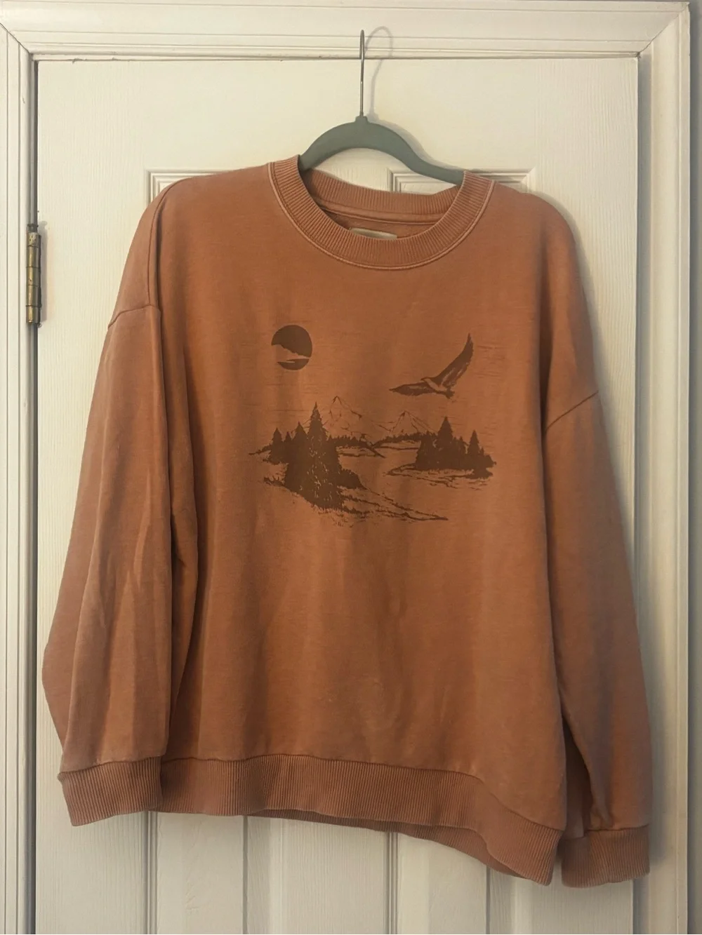 Rust Brown Graphic Crewneck Sweater